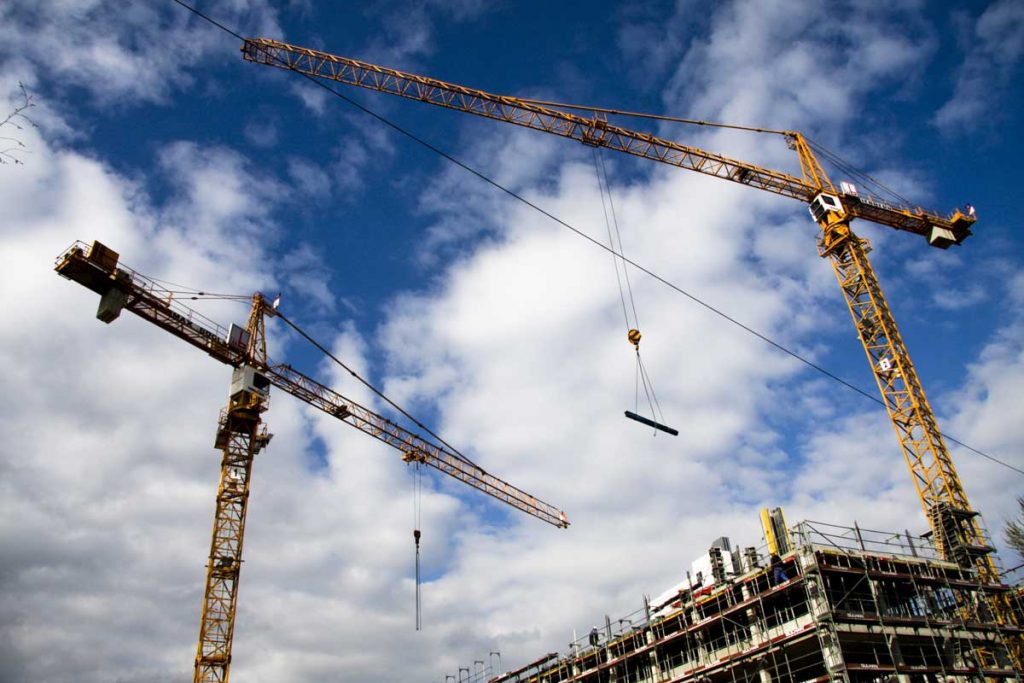 cranes against the sky